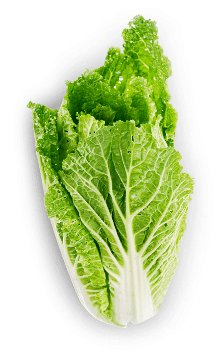 Sayur dan Buah Sayur dan Buah