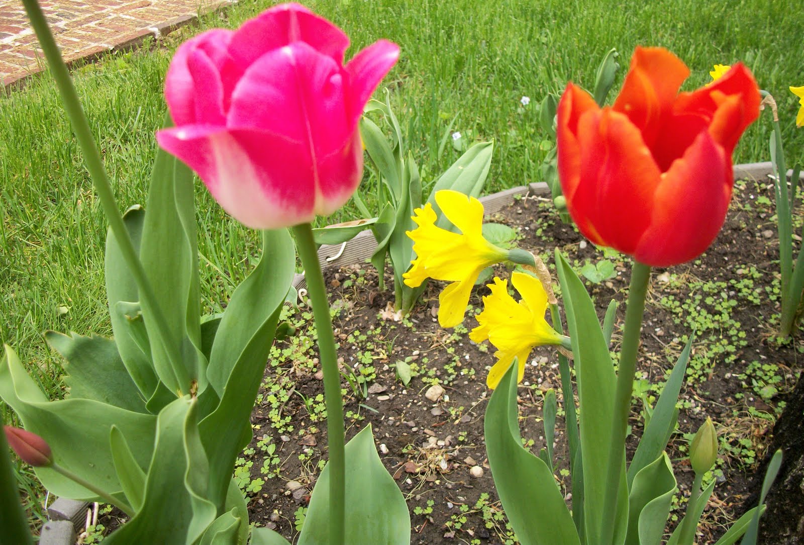 Writing Straight from the Heart Small, Round Flower Garden Brings