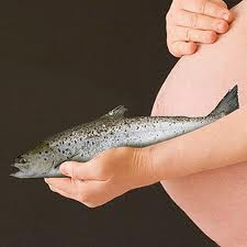 Fish Consumption During Pregnancy