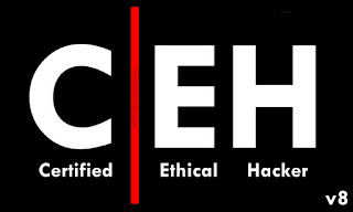 Certified Ethical Hacker Course in PDF (CEHv8)