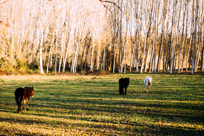 Cartel Madera Merry Christmas DIY con Gocco