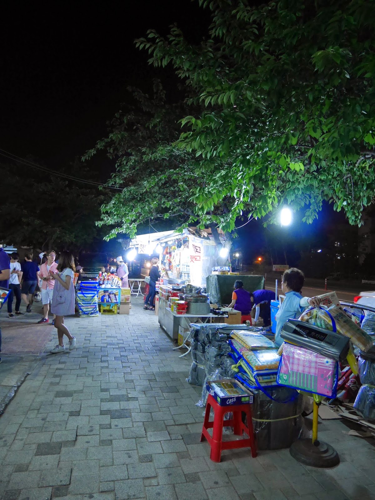 All About Hongdae In Korea Han Riverside On Summer Nights