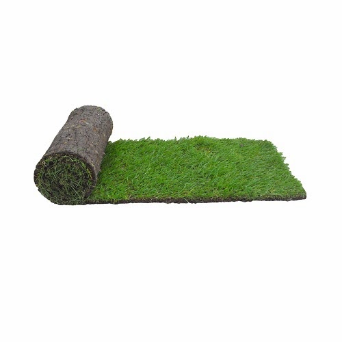 Rukeri Lawn turf, Grass for sale, Garden turf, Turf, Cheap Turf