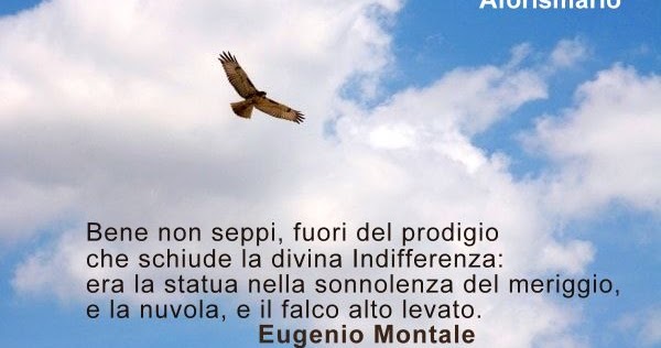 Aforismario Aforismi Frasi E Proverbi Sul Falco