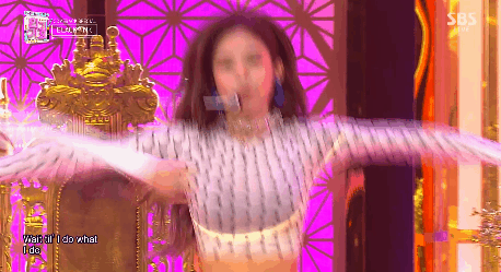 5.gif