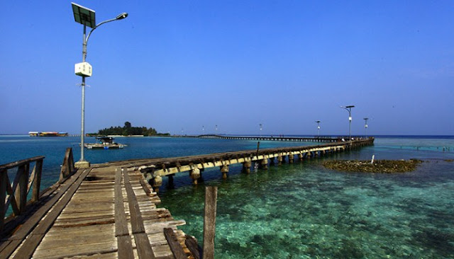 Delapan Surga Bawah Laut Indonesia Yang Banyak Diburu Wisatawan Mancanegara Delapan Surga Bawah Laut Indonesia Yang Banyak Diburu Wisatawan Mancanegara