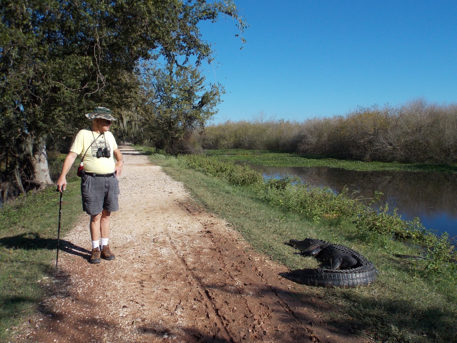 The Schramm Journey Brazos Bend State Park