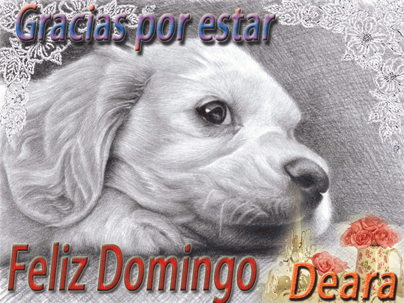 https://4.bp.blogspot.com/-VD8UHXqQcuc/V1SB7IKAS2I/AAAAAAAADaA/dvvK-IAt9eUx8mA9X03qu1WKzq18fyZSQCLcB/s1600/perrito.gif