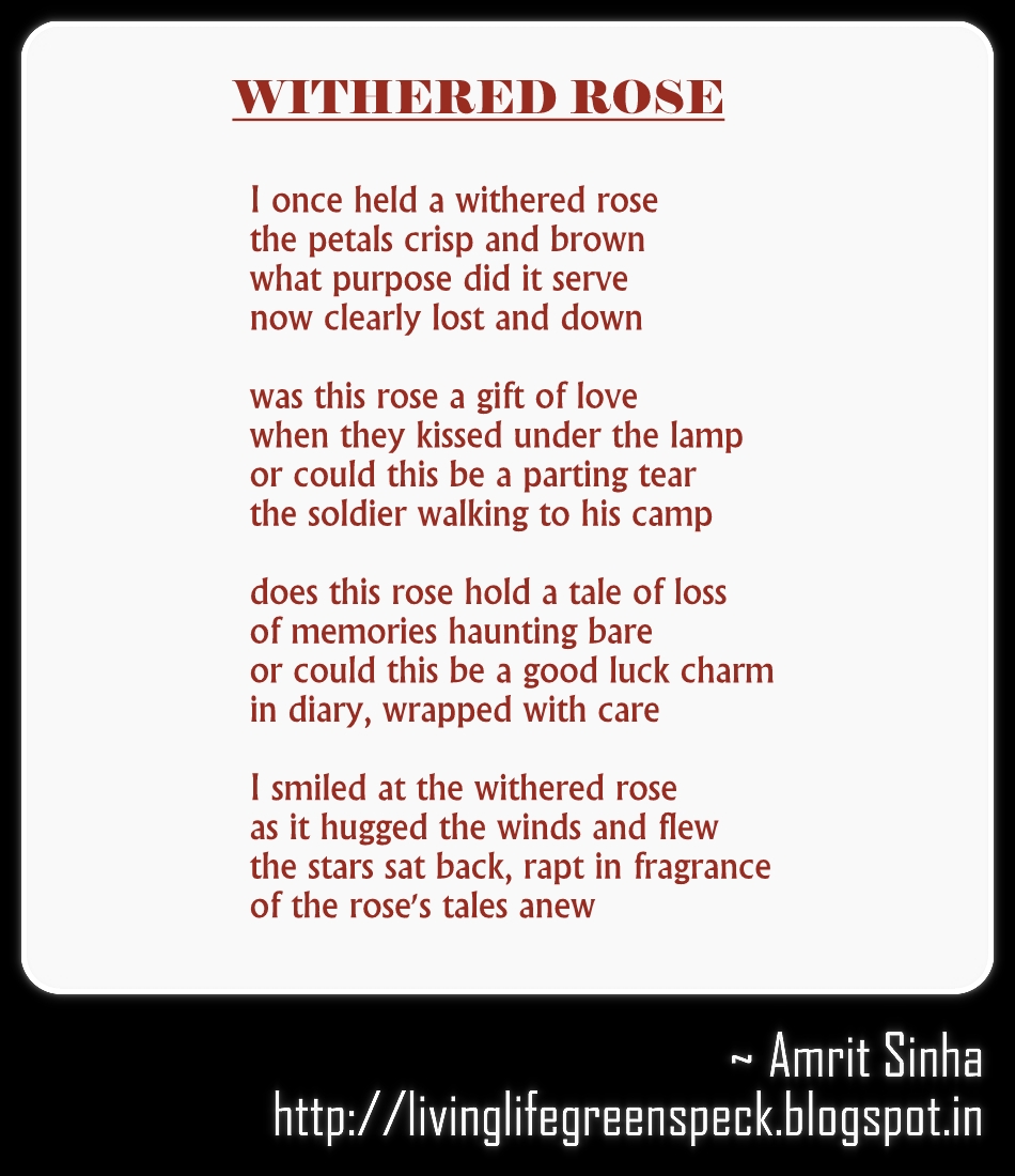 Live Your Life: Withered Rose
