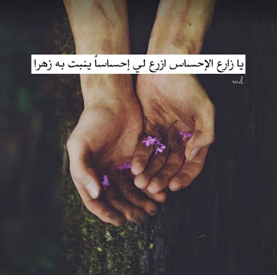رمزيات انستقرام منوعه رمزيات انستقرام منوعه