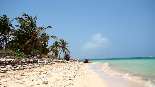 Hotel Be Live Collection Punta Cana, Dominikana, Punta Cana dzika plaża