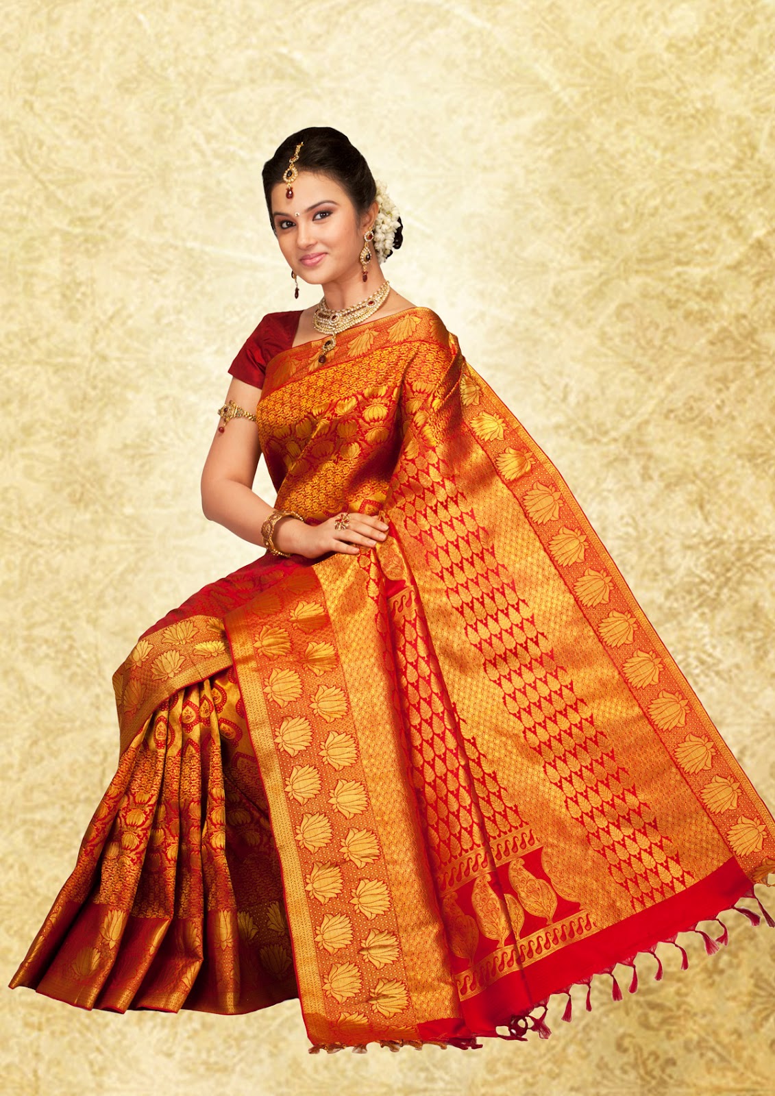 Kancheepuram Silks sheldin's