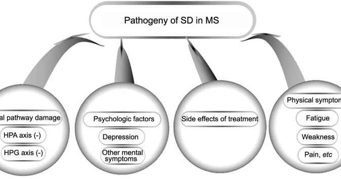 sclerosis dysfunction Multiple sexual
