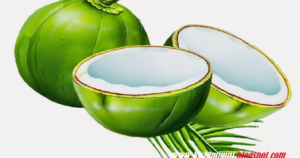 MIMPI KELAPA (Menurut Erek-Erek 4D-3D-2D)