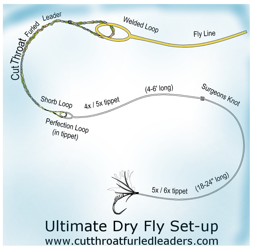 Fly Line Leader Size Chart