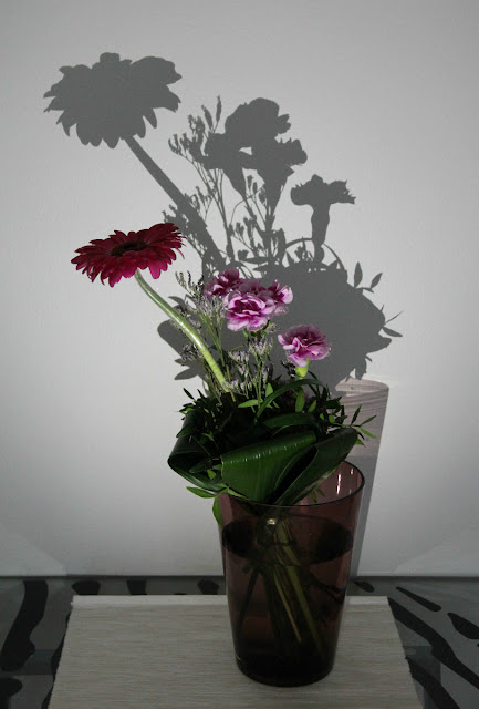 Lens and Cover Blog | Flowers and Shadow