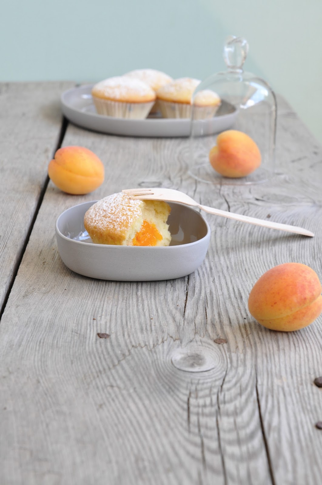 lemapi - südtiroler lifestyleblog: buttermilch marillen muffins [+ rezept]