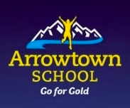 Arrowtown Website