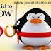 Tips Menghadapi Google Pinguin