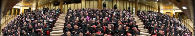 Para Refletir: Declarações de alguns Bispos do Sinodo da Familia