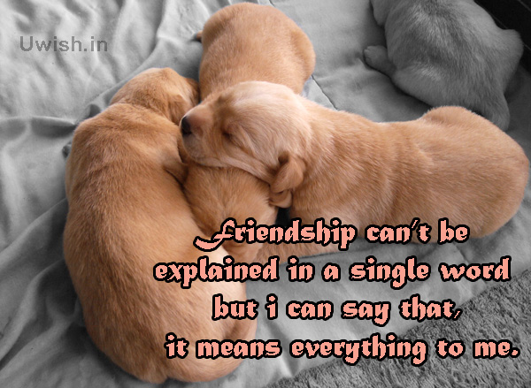 Friendship is everything Quotes on Friendship e greeting cards and wishes