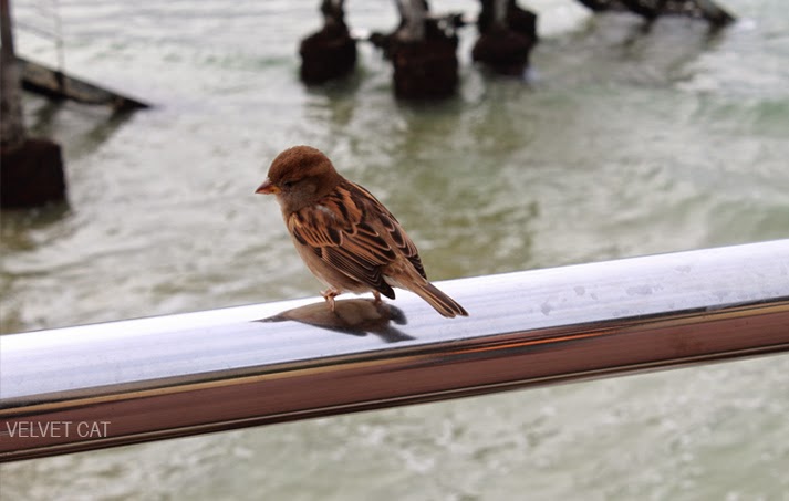 San Sebastián Donostia Otoño