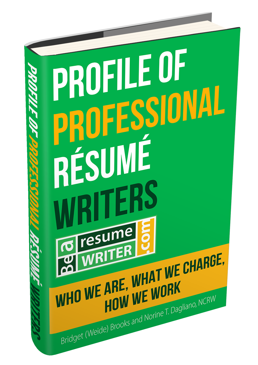 how to become a professional resume writer