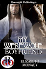 My Boyfriend Is...Book 1