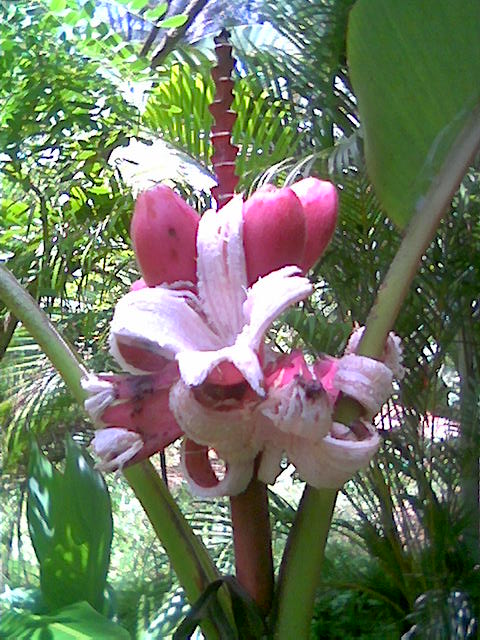 ATT00002.jpe
