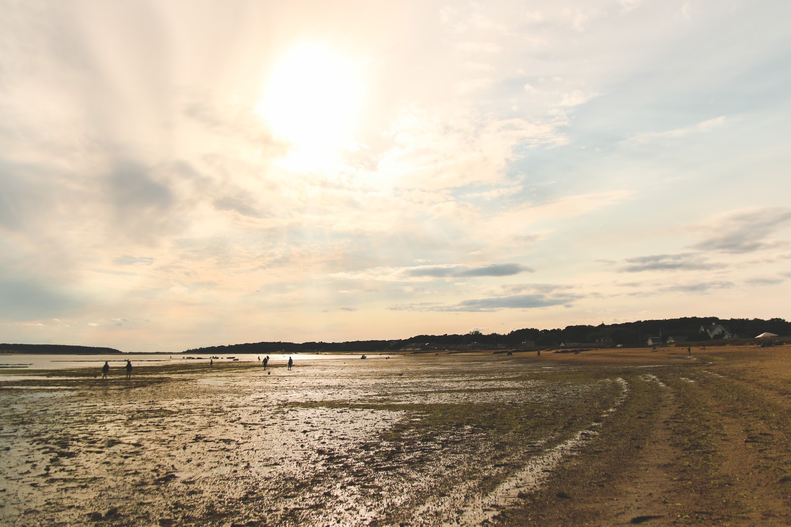 tidal pools cape cod tidal pools cape cod