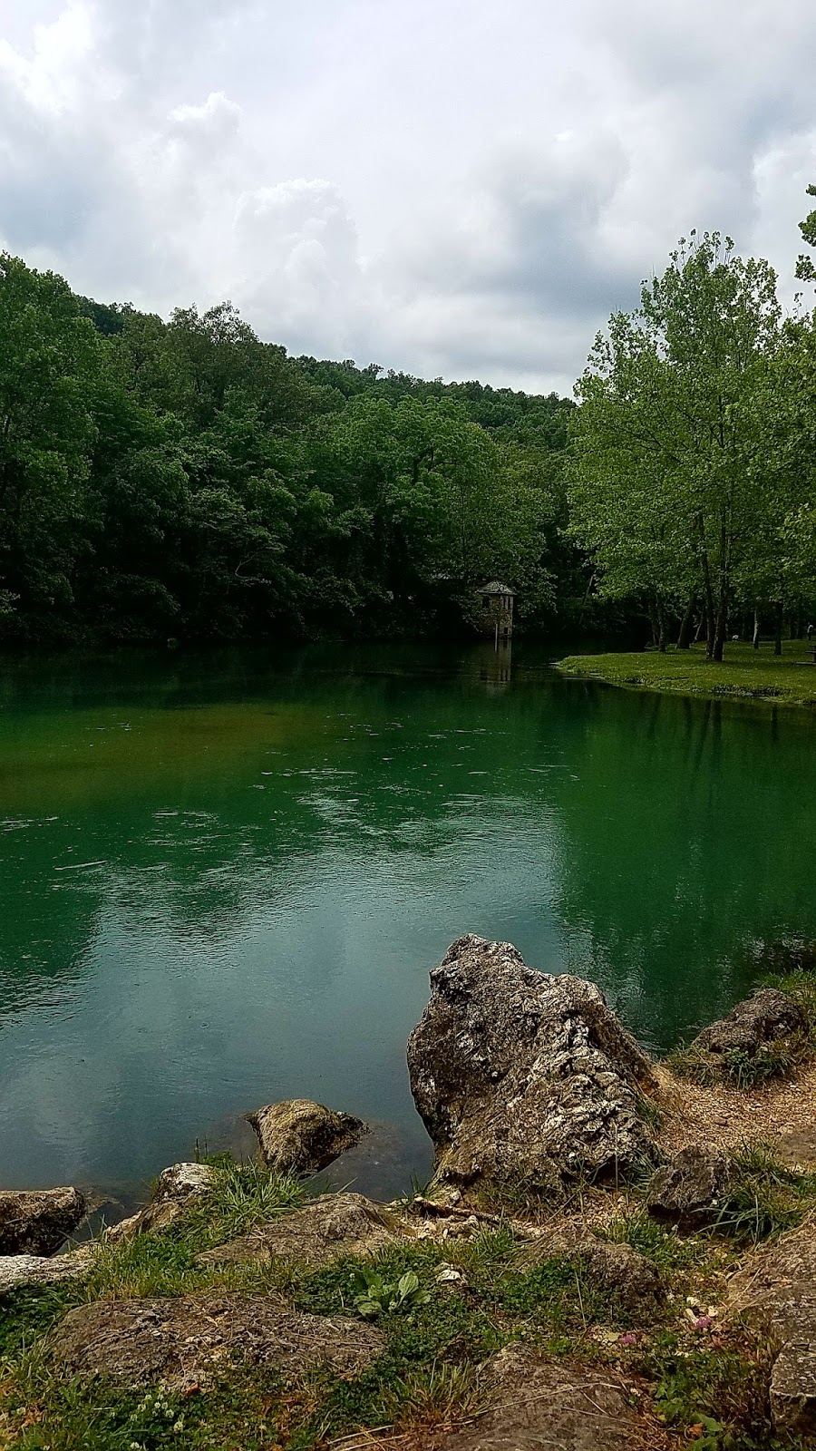"Wandering Toes" Springs State Park, Missouri Here Until