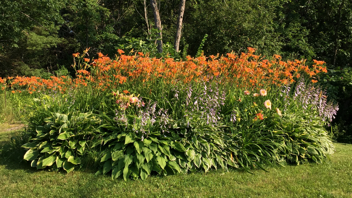 Gardens and GiftsJardins et cadeaux 2 Mountain View Farm