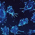 Cancer- A Beast in The 21st Century