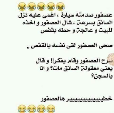 نكت محششين تموت من الضحك بالصور نكت محششين تموت من الضحك بالصور