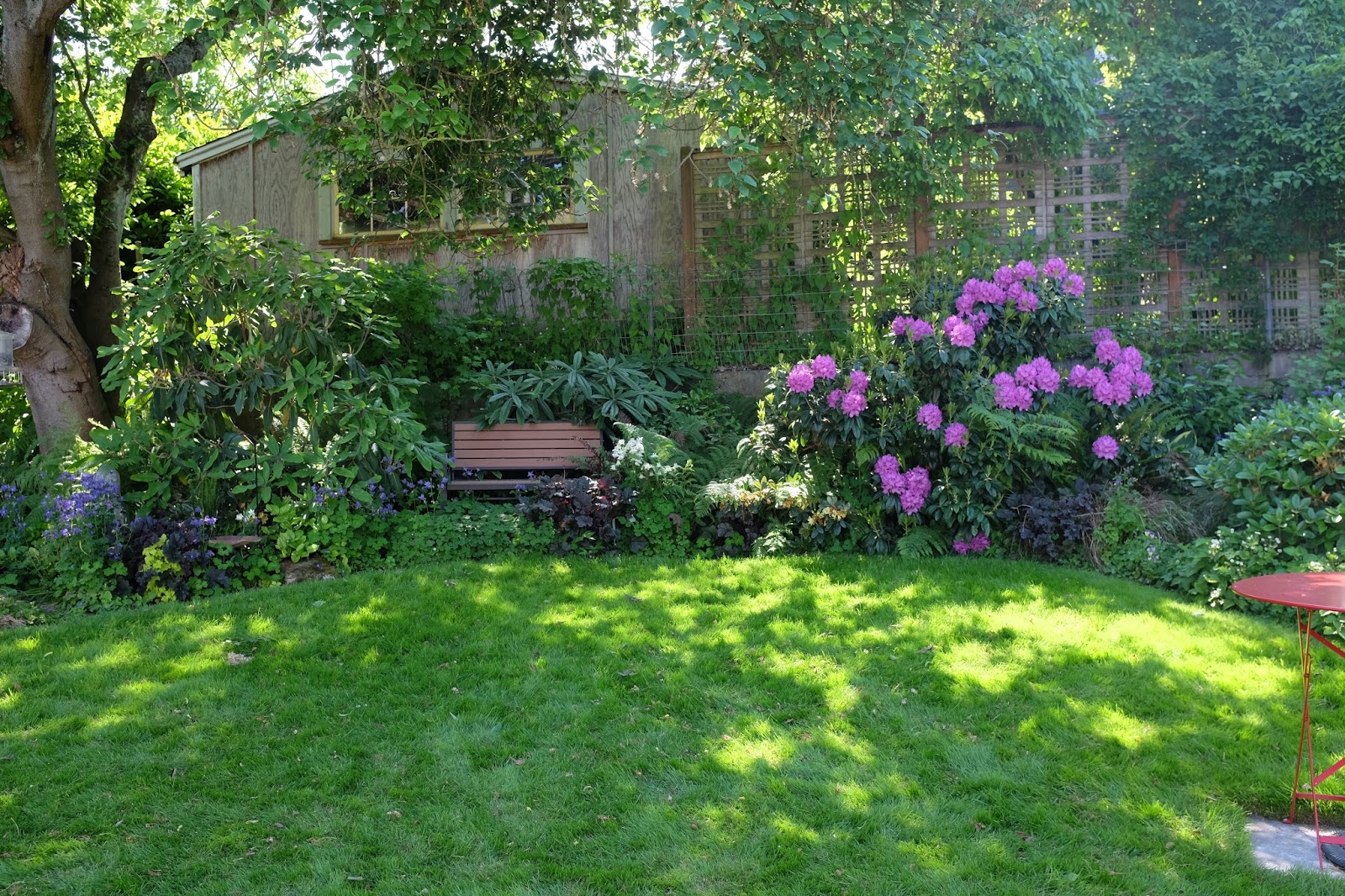 Megan Seagren's Journal Planting a New Pacific Northwest Shade Garden