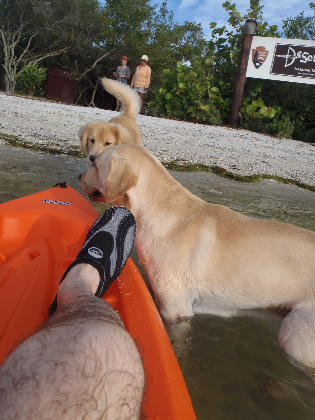 Paddle Challenge Conquistador Boarded by Dogs