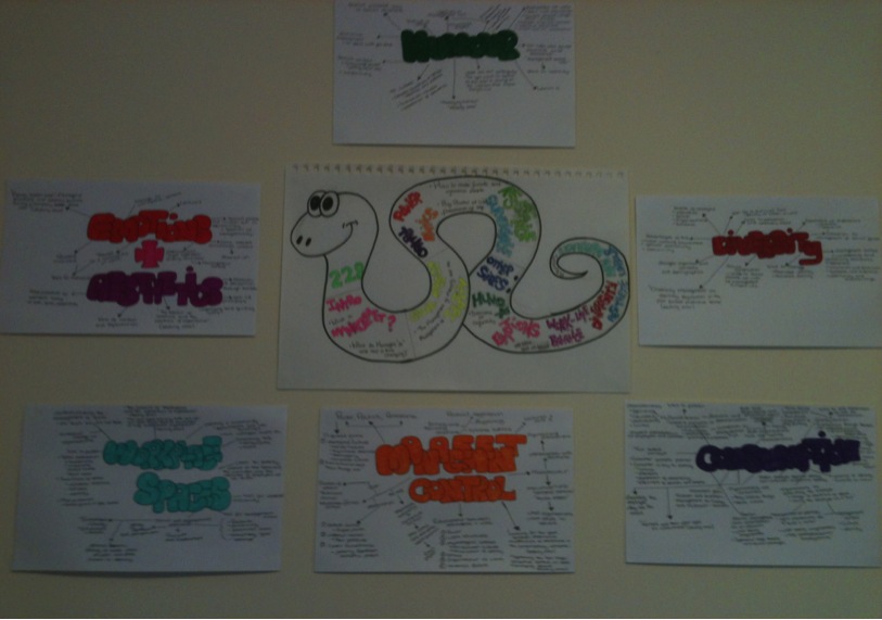 Creative Study Skills and Educational Support TRAINING YOUR SNAKE How