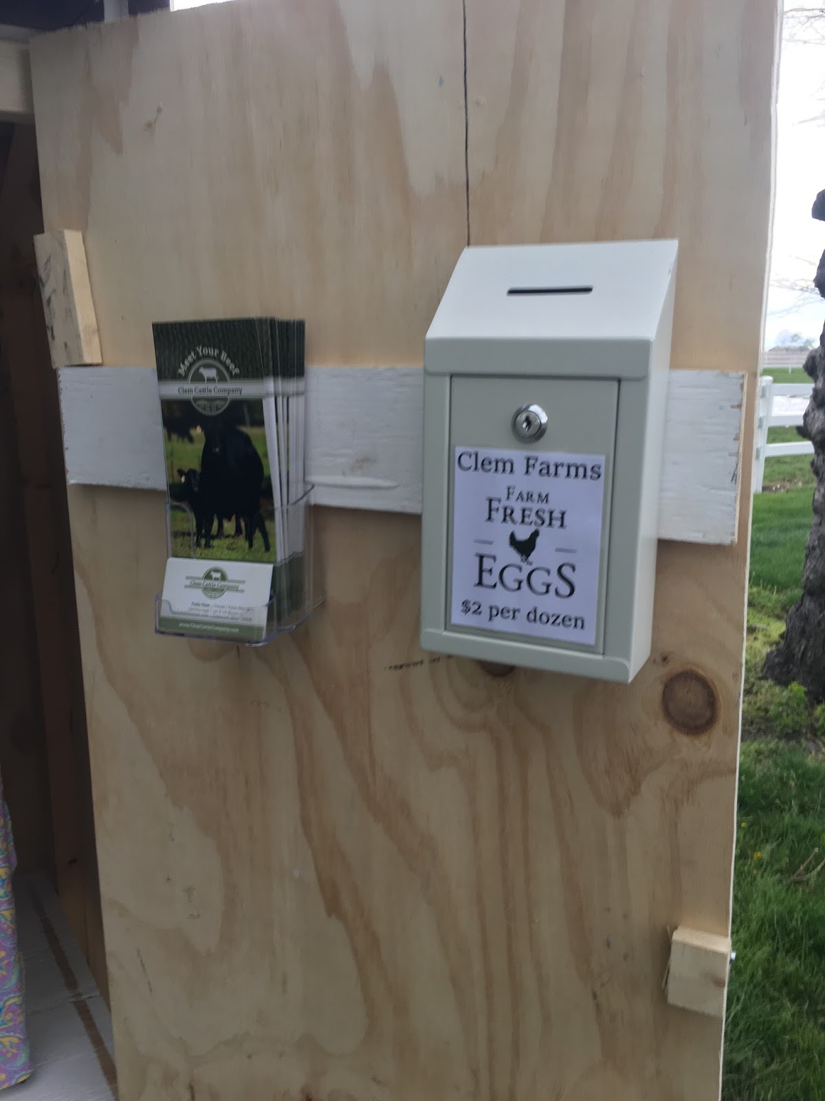 The Smart Momma The Egg Shack