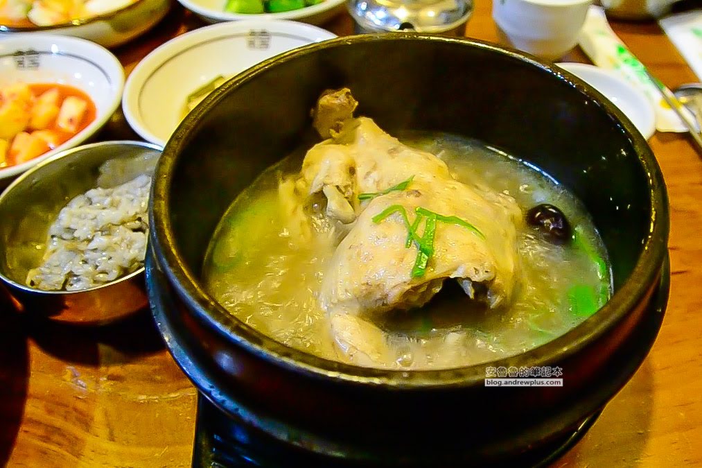 大邱蔘雞湯,韓國大邱必吃美食,大邱好吃的餐廳,大樹屋蔘雞湯
