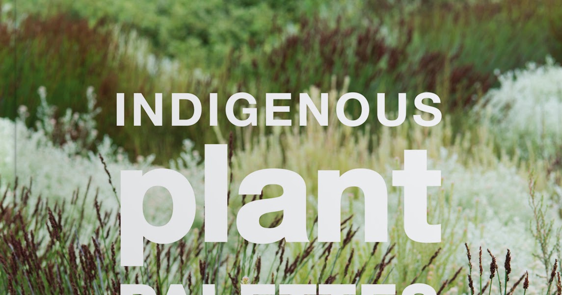 66 Square Feet (Plus) Indigenous Plant Palettes a South African book