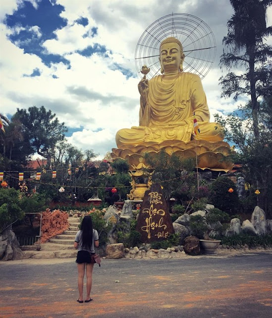 Thái Dương Limousine Bus