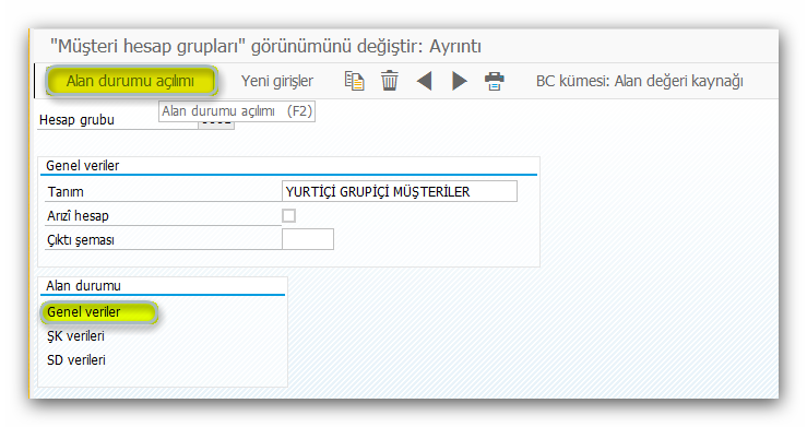 SAP Cari Kart Alanlarının Durumu