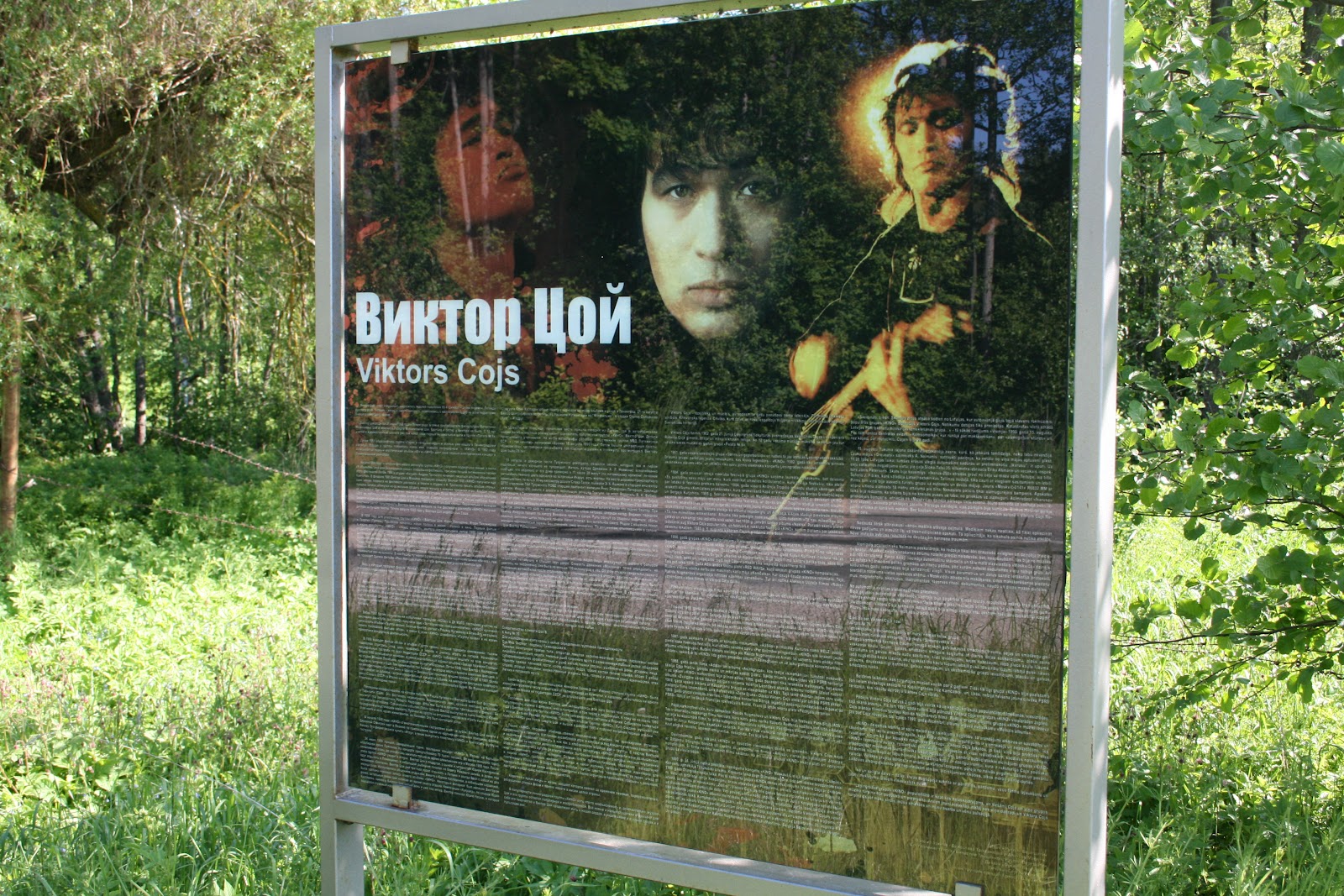 Виктор цой в корее