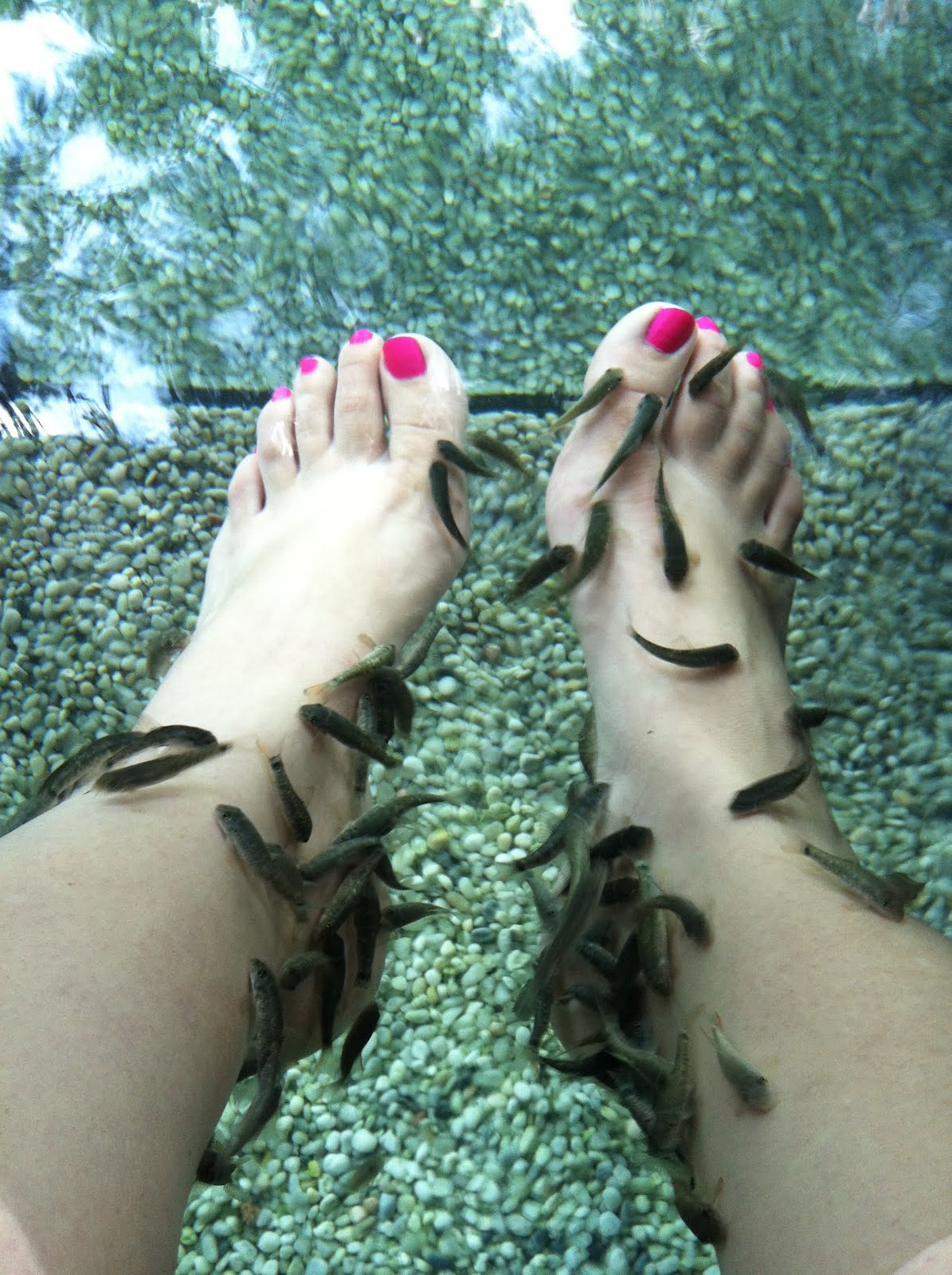 Karen in Hungary Fish Pedicure