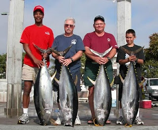 Gambar Lempar Tuna