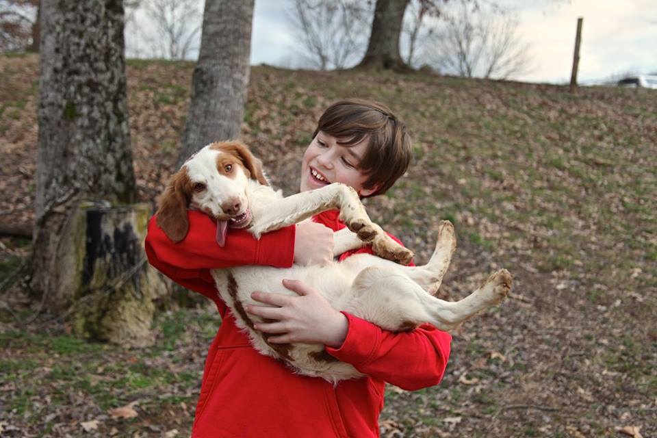 Jakes Bird Dog Kennels Our Dogs