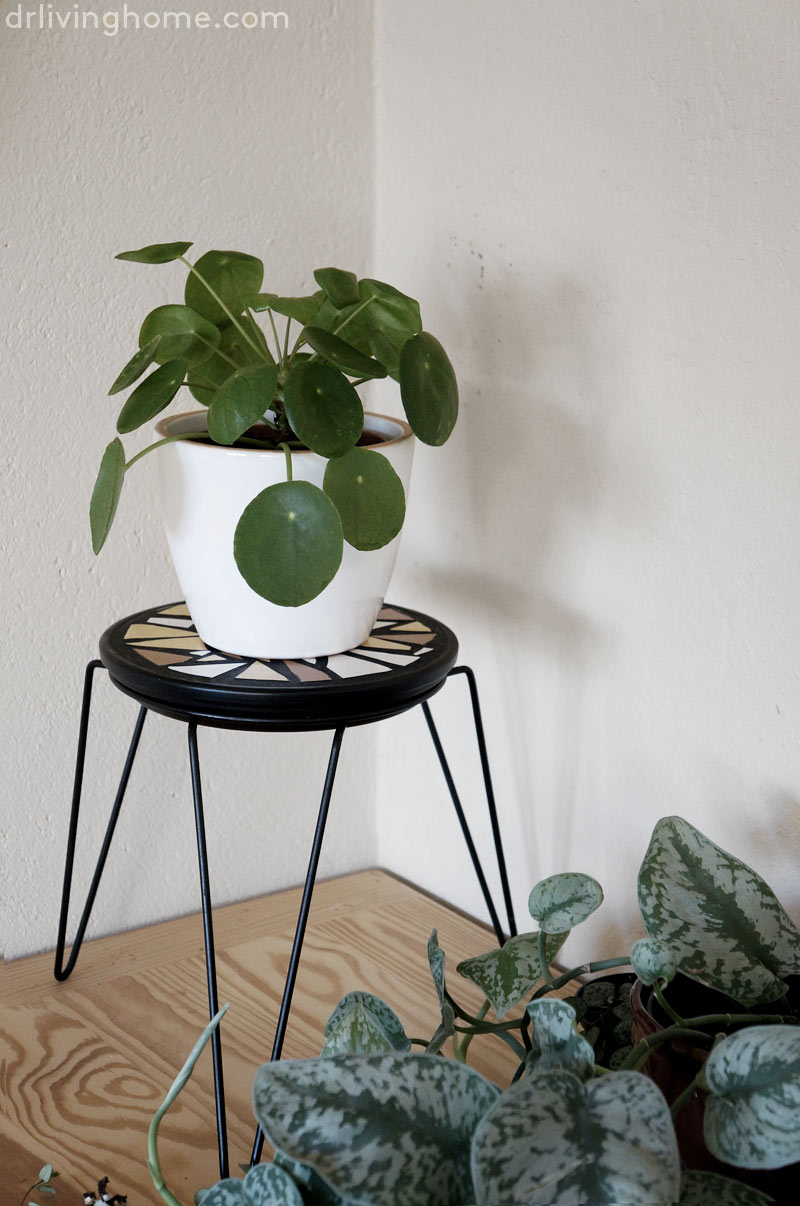 Diy mosaico con azulejos reciclados