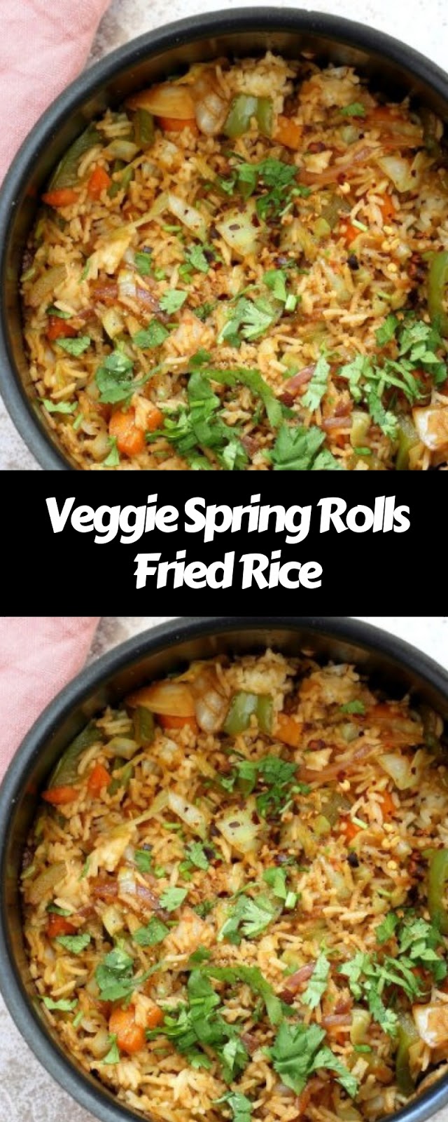 Veggie Spring Rolls Fried Rice Veggie Spring Rolls Fried Rice