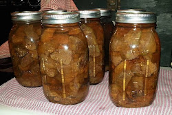 canning canned venison pressure meat meats shelf beef chicken rules preppers recipes homemade annette sbcanning chunks prepper
