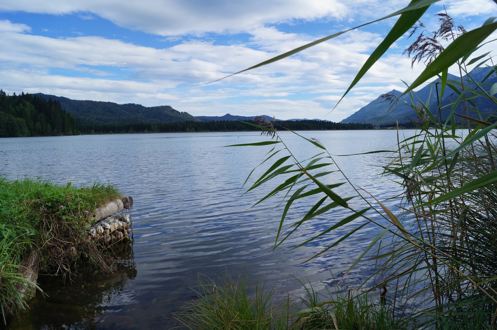 Faszination Hochgebirge: Barmsee-Rundweg, über die Buckelwiesen zurück